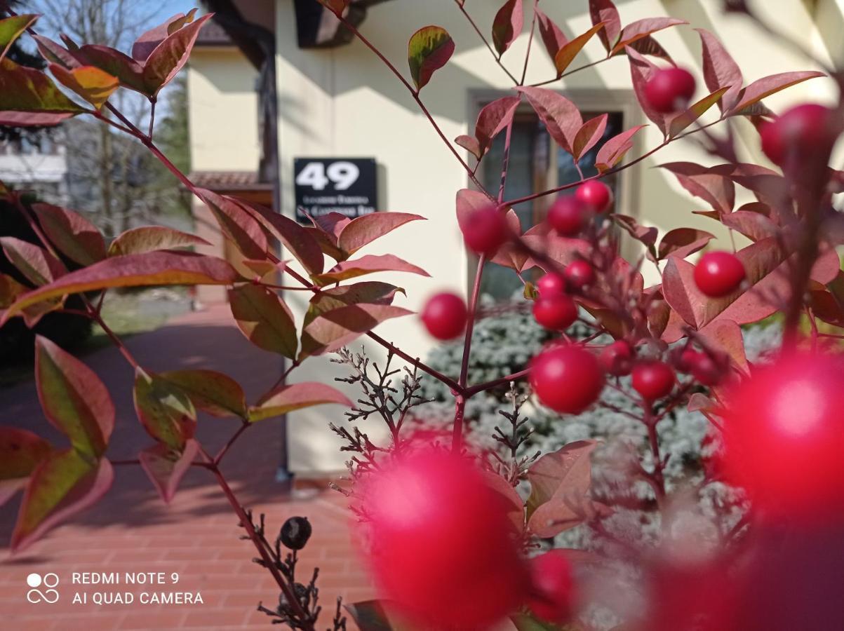 49 Le Contesse Ide Otel Meolo Dış mekan fotoğraf